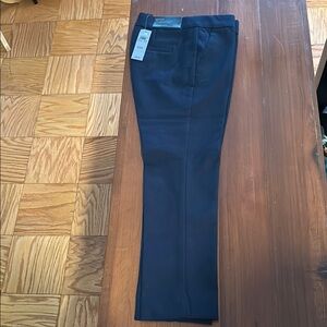 Ann Taylor Blue Ankle Cropped Pants with Flat Front